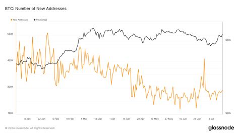 O M Ximo Em Anos Para As Baleias Bitcoin O Que Isso Significa Para