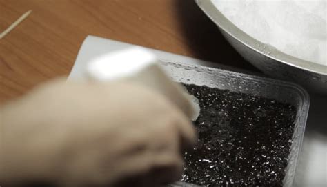 Посев земляники на рассаду - детальная инструкция для начинающего дачника