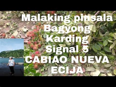 Bagyong Karding Signal Malaking Pinsala Sa Cabiao Nueva Ecija Youtube