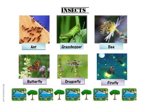 Insects Flash Cards Vocabulary Flash… English Esl Worksheets Pdf And Doc