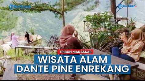 Wisata Alam Dante Pine Enrekang Tempat Paling Cocok Untuk Berlibur