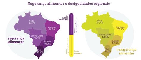 Relat Rio Brasil Da Fome Ibpad Participa De Pesquisa Sobre Inseguran A