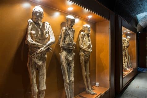 Mummies of Guanajuato: A Unique Museum You Don't Want to Miss » Savoteur