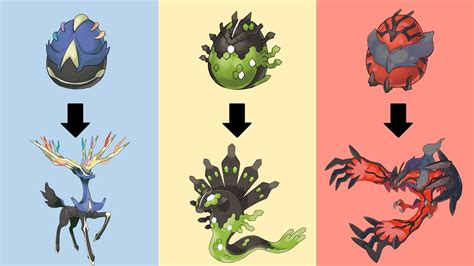 Pokemon Yveltal And Xerneas And Zygarde