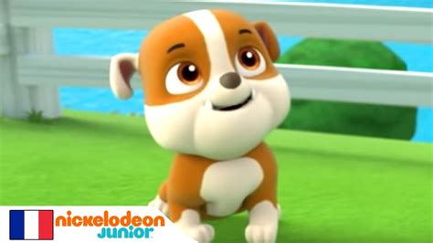 Paw Patrol La Pat Patrouille Ruben Est Coincé Dans Larbre