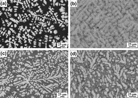 Figure 1 From Ti Cu Ni Fe Cr Co Sn Ta Nb Alloys With Potential For