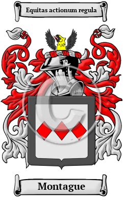 Montague Name Meaning, Family History, Family Crest & Coats of Arms