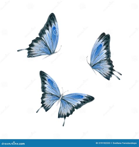 Blue Butterfly Set. Elegant Realistic Australian Ulysses Swallowtail