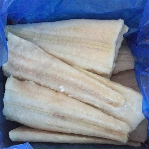 hoki frozen fish direct