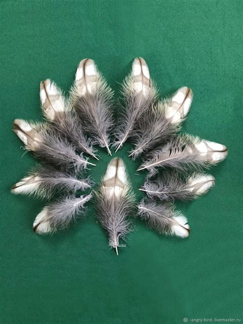 Маховые перья совы купить в интернет-магазине Ярмарка Мастеров по цене ...