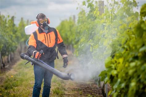 Pesticidas Generan Mayores Ganancias De Los Químicos Dañinos Para Las