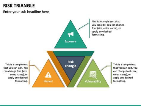 Risk Management Triangle