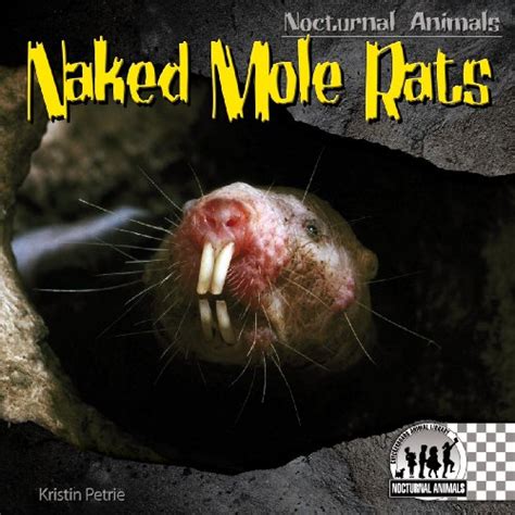 Naked Mole Rats Used Book By Kristin Petrie