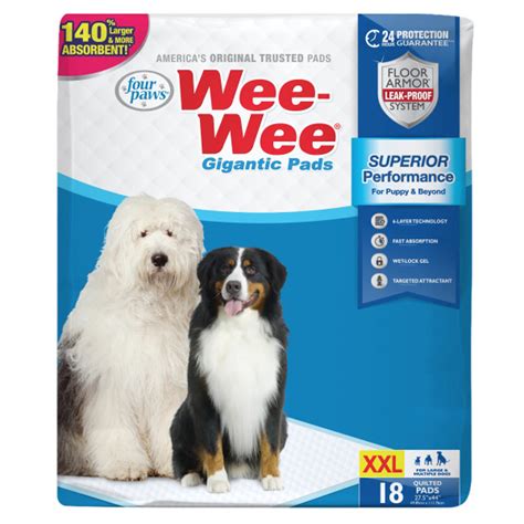 Do Big Puppy Paws Mean Big Dog