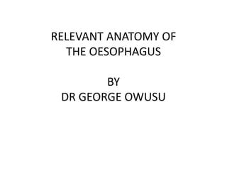 Anatomy of the oesophagus | PPT