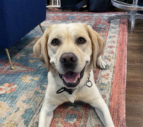 Our Rescue Help Rescue People From Sex Trafficking Exploitation