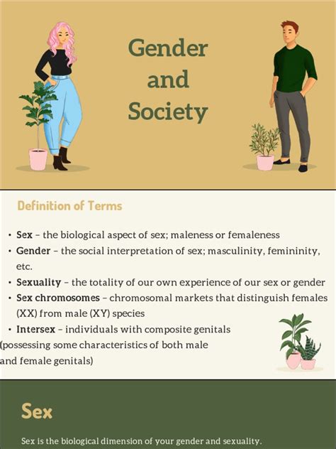 Understanding Gender And Sexuality A Look Into Biological Sex Gender