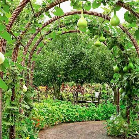 24 Easy Diy Garden Trellis Ideas And Plant Structures A Piece Of Rainbow