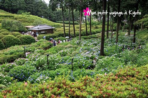 Mimuroto ji le temple des fleurs Mon petit voyage à Kyoto