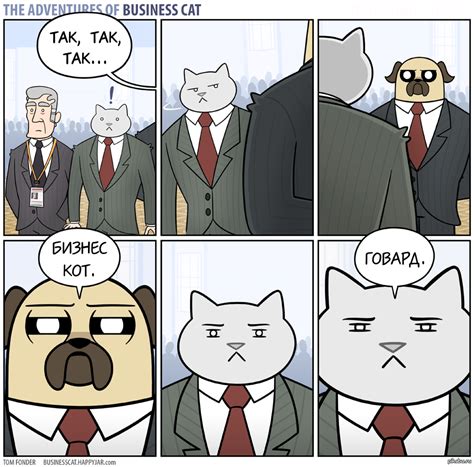 Бизнес-кот. "Конфронтация" | Пикабу