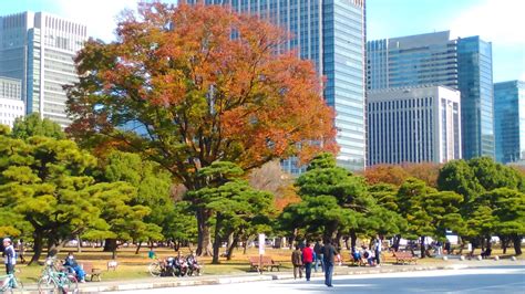 Imperial Palace gardens in Autumn | Tokyo, Japan ⋆ Must see Tokyo