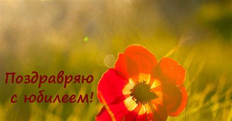Поздравления с юбилеем открытки, поздравления на cards.tochka.net
