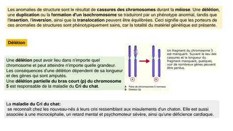 SOLUTION Génétique et anomalies moléculaires de la structure des