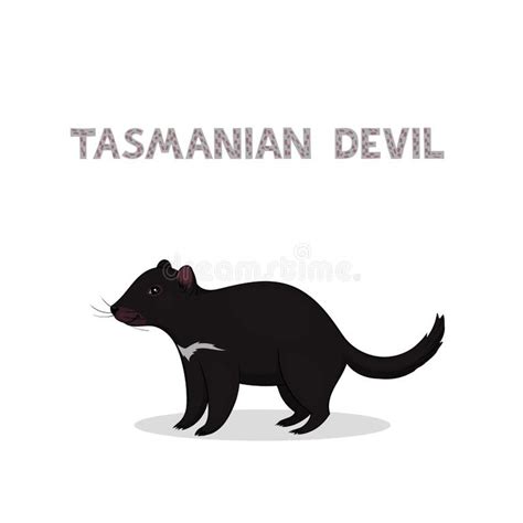 Tasmanian Devil Isolated White Stock Illustrations 200 Tasmanian