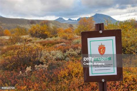 399 Dovre National Park Stock Photos, High-Res Pictures, and Images - Getty Images