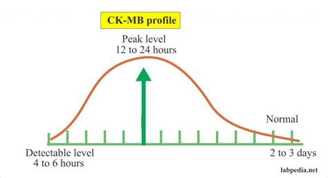 Creatine kinase (CK), Creatine phosphokinase (CPK) – Labpedia.net