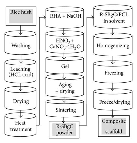 Schematic Diagram Of The Scaffold Production Download Scientific Diagram