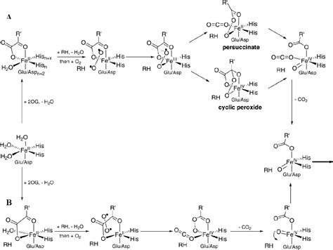 STRUCTURAL INSIGHTS INTO NOVEL MICROBIAL METALLOENZYMES | Semantic Scholar