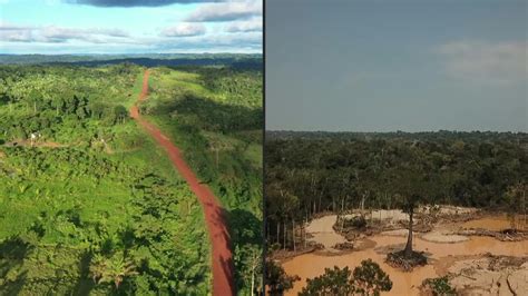 Cambio Climático E Invasión A Ecosistemas El Origen De Nuevas