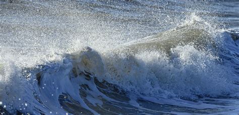 Assateague Island National Seashore Va — Jim Clark Photography