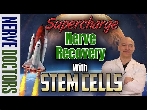 Harnessing Stem Cells for Nerve Regeneration: A Guide to Self-Healing ...