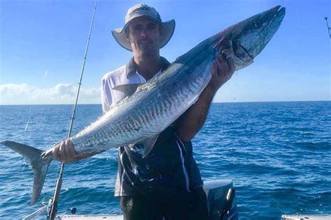 Inshore Spanish Mackerel Stirred Up And Chewing Bush N Beach Fishing