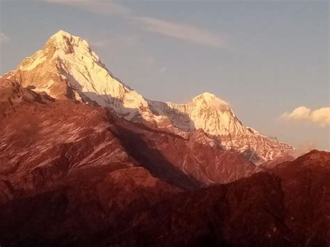 Von Pokhara 3 Tage Poon Hill Ghandruk Deluxe Trek GetYourGuide