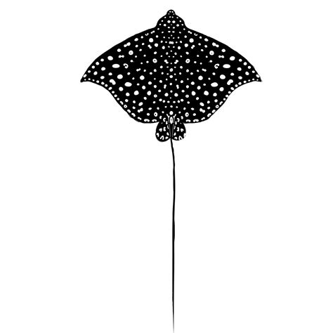 sting ray drawing 8