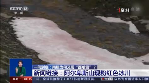 一问到底丨南极为何又现“西瓜雪”？原来是它！