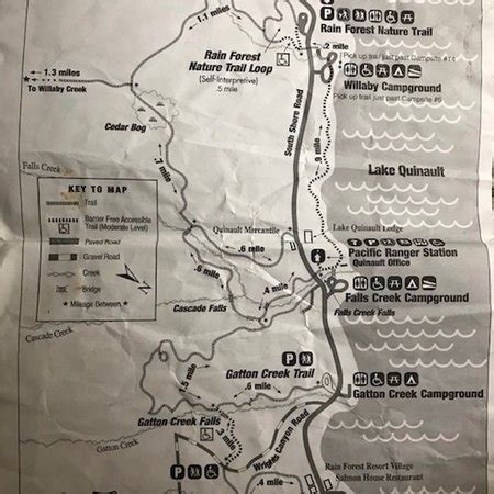 Quinault Rain Forest Olympic National Park All You Need To Know