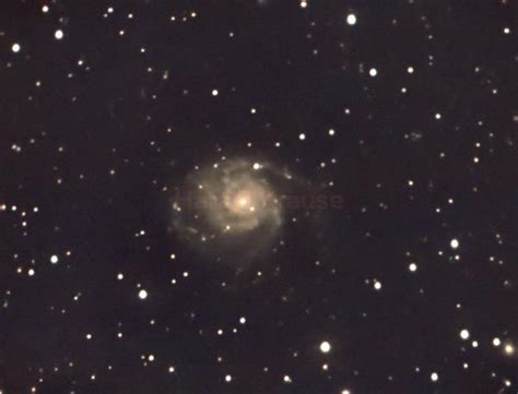 M101 With SN Dwarf II Harald Krause AstroBin