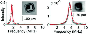 The Detailed Acoustic Signature Of A Micro Confined Cavitation Bubble