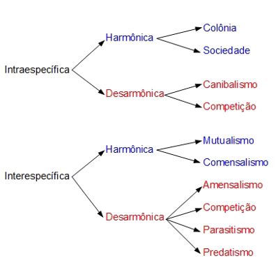 Relações Harmonica E Desarmonica - RELAÇÕES ECOLÓGICAS HARMÔNICAS E DESARMONICA ENTRE OS SERES VIVOS