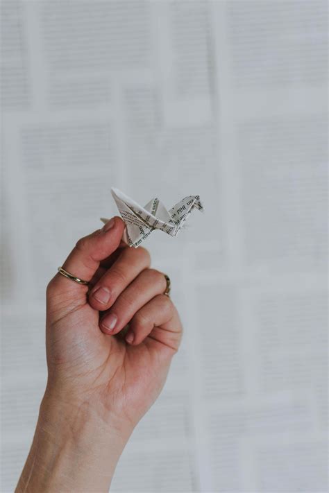 Person Holding Origami · Free Stock Photo