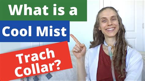 What Is A Cool Mist Trach Collar Essential Info Life With A Vent