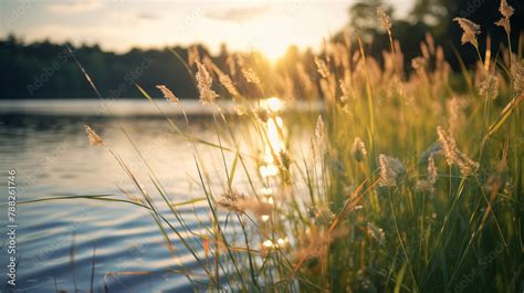 Paysage D Un Coucher De Soleil Sur Un Lac En Arri Re Plan Avec Au