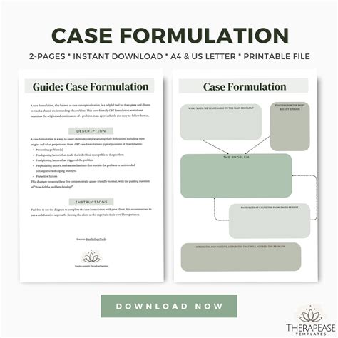 Case Formulation Template Client Map Template Client Notes Therapy