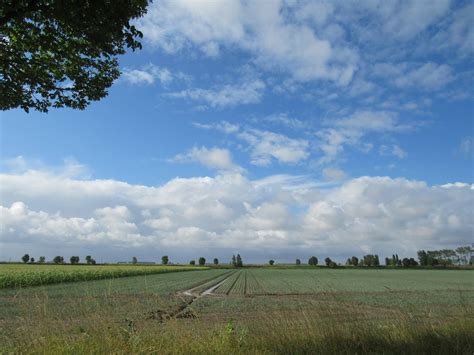 Kortgene Door Geeske Harkema Kats De Zon Is Er Geregeld B Flickr