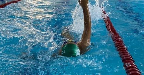 Festival De Nata O Movimenta E Anima Os Alunos Da Piscina Aldo Bello