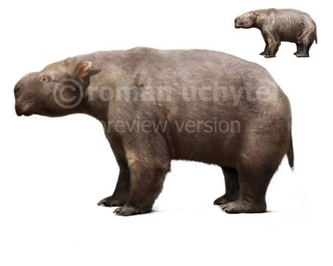 Diprotodon by Rom-u on DeviantArt